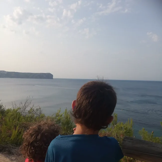 Niños educar reconectando