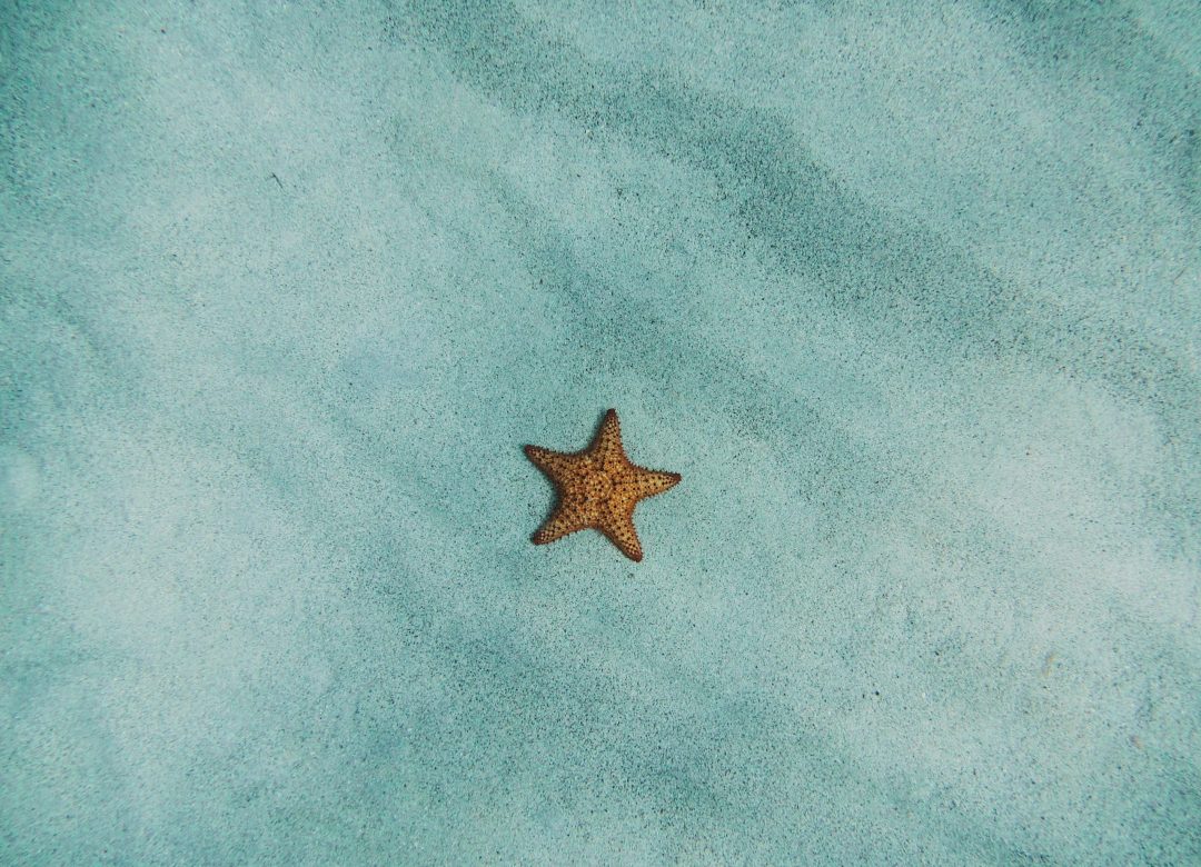 amy-humphries-2M_sDJ_agvs-unsplash