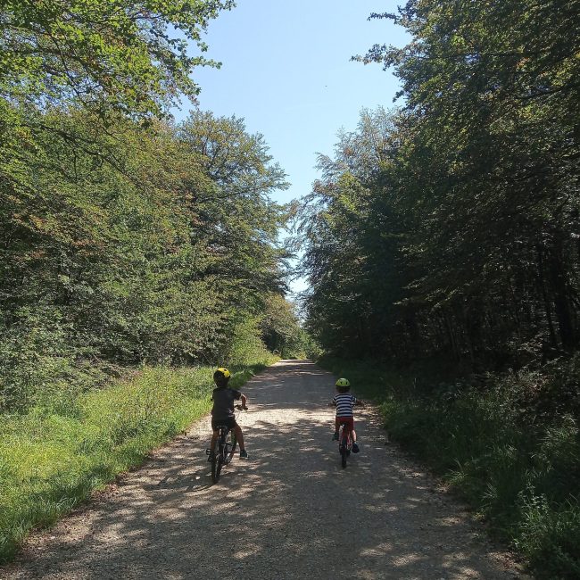 foto para el carrusel de la pagina de inicio de abajo del todo