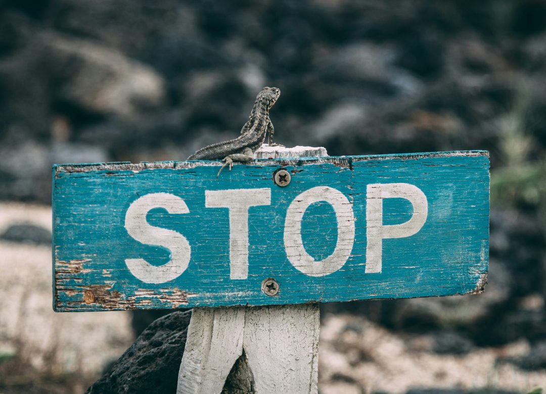 jose-aragones-81QkOoPGahY-unsplash